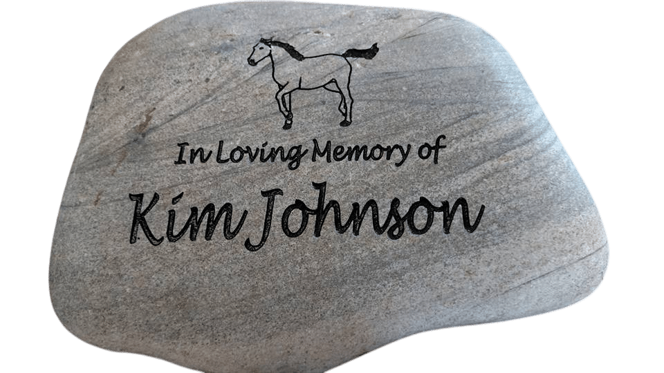 Kim Johnson Transparent Photoroom