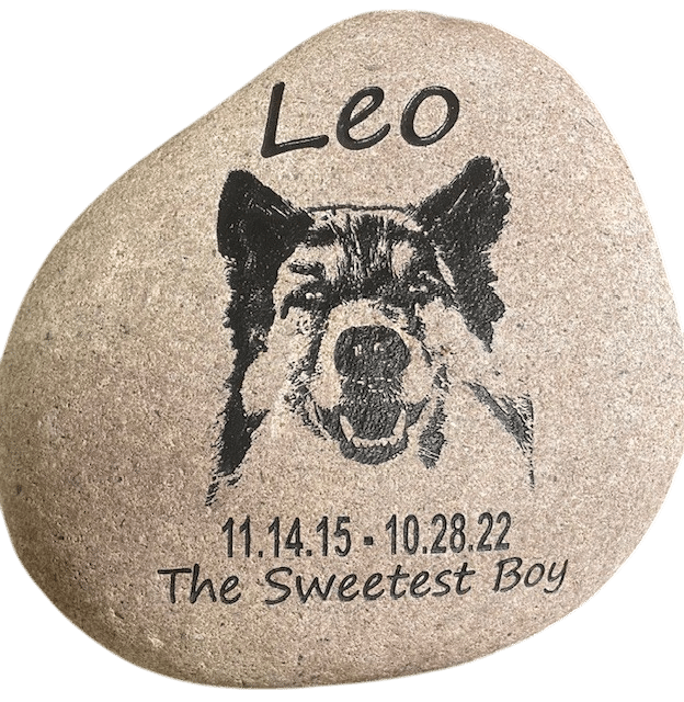 Leo Transparent Photoroom