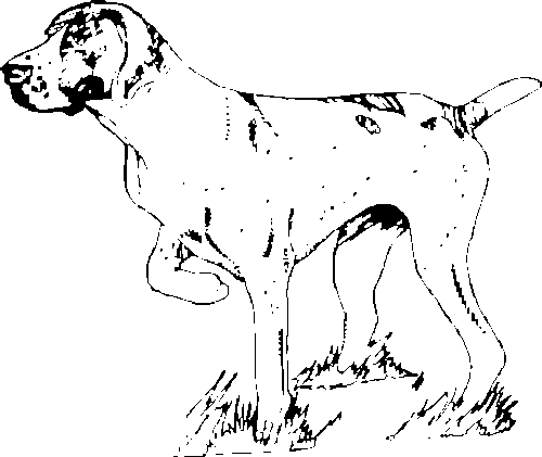 SAA0114