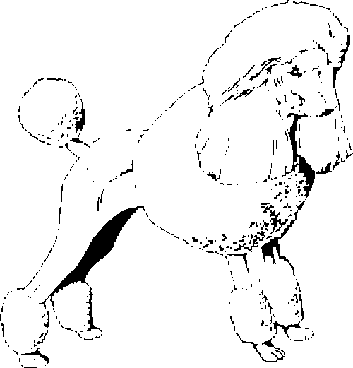 SAA0118