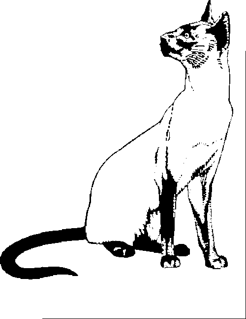 SAA0137