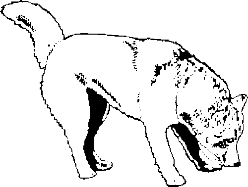 SAA0140