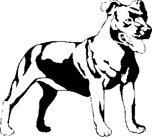 SAA0144