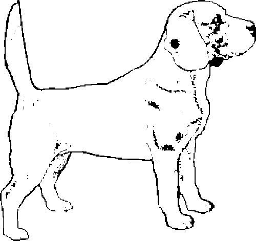 SAA0162