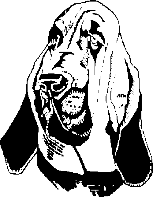SAA0167