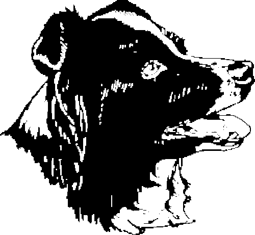 SAA0169
