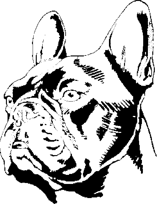 SAA0171