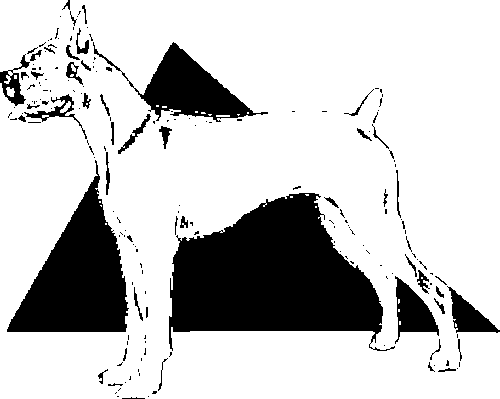 SAA0173