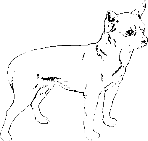 SAA0194