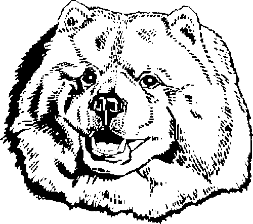 SAA0195