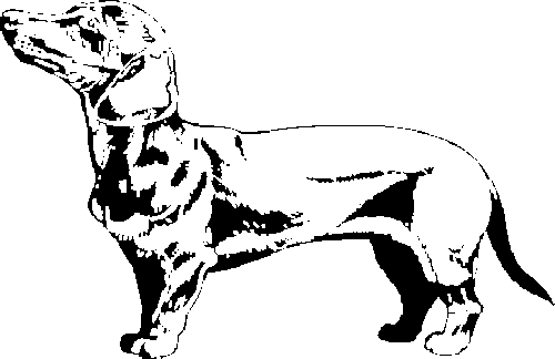 SAA0198