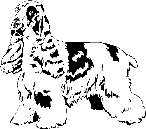 SAA0207