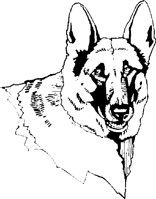 SAA0210