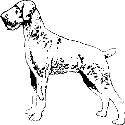 SAA0211