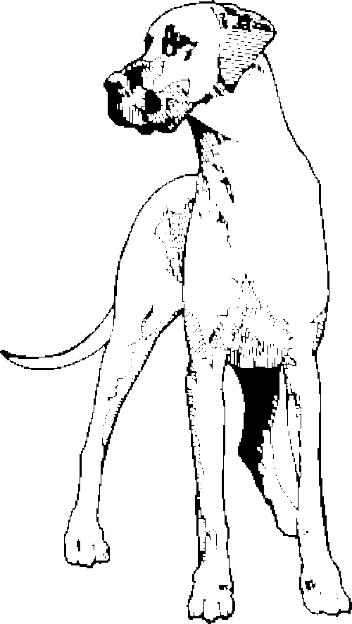 SAA0214