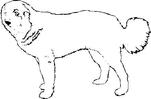 SAA0215