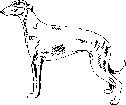 SAA0216
