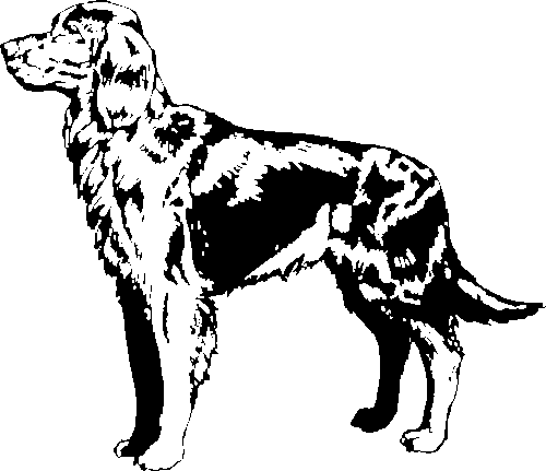 SAA0219