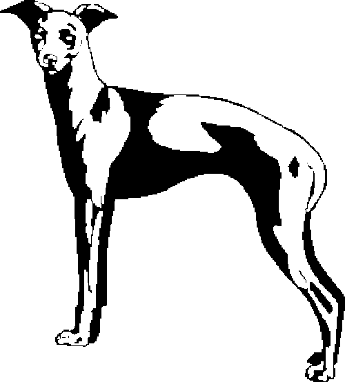 SAA0220