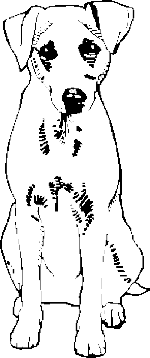 SAA0221