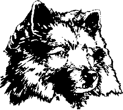 SAA0222