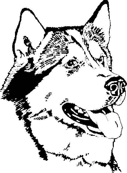 SAA0238