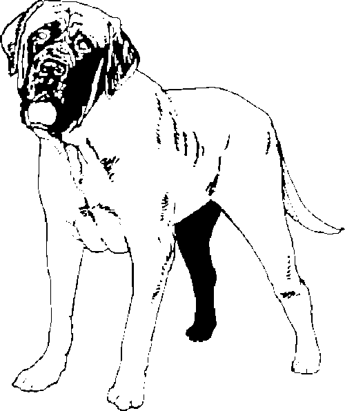 SAA0239