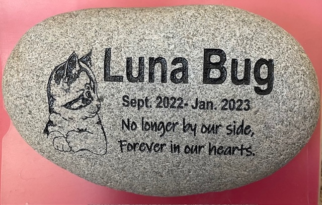 Pet Memorials with engraving of pets name Luna Bug and date, No longer by our side, forever in our hearts